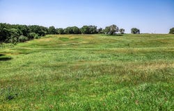 8101 Parkison Lane, Brenham, TX 77833