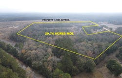29.74 Acres Highway 87, Samson, AL 36477