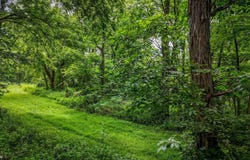Tbd 210th Street, Wheatland, IA 52777