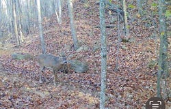 1850 Toler Creek Road, Harold, KY 41635