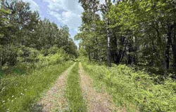 TBD Samuelson Road-Sec22, Angora, MN 55703