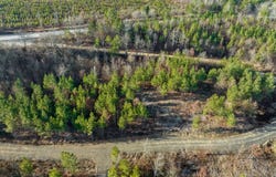 21 Painted Bunting Trail, Smithville, OK 74957