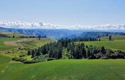 Basket Rd, Nezperce, ID 83543