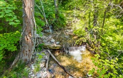 8XX NANCY CREEK RD, KETTLE FALLS, WA 99141