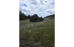 8099 County Rd 28, Cotopaxi, CO 81223