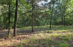 Timber Ridge lot: 377, Larue, TX 75770