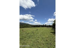 0 Newman Lane, Blaine, TN 37709