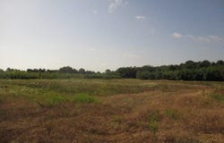 S 4450 rd, Bluejacket, OK 74333