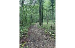 32 Arrow Ridge Road, Damascus, AR 72039