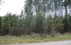 Cattle Farm Road, Latta, SC 29565