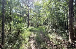 Jackson Liberty Drive, Smithdale, MS 39664