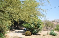 2090 Mt Vernon Avenue, Riverside, CA 92507
