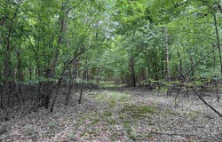 mt Olive Road, Arkadelphia, AR 71923
