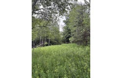 00 Hewitt, Tustin, MI 49688
