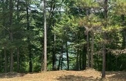 SIPSEY OVERLOOK Dr lot: #55, Double Springs, AL 35553