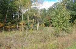 Parcel B 109th Avenue, Pullman, MI 49450