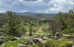 466 Navajo Rd, Red Feather Lakes, CO 80545