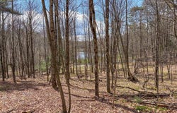 24 Walker Rd, Nineveh, NY 13813