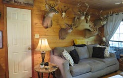 108 COUNTY RD 3142, Houston, AL 35572