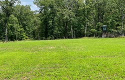 12 Freeman Bluff Trl, Lebanon, MO 65536