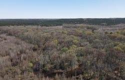 Camden Hwy, Prescott, AR 71875