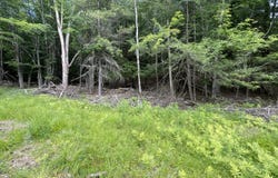 Tbd Boulder Brook Rd Lot B13, Windham, NY 12496