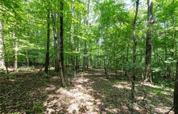 6910 Long Meadow Lane, Whitsett, NC 27377