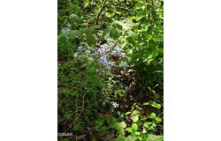 397 Moore Hollow Road, Newport, TN 37821