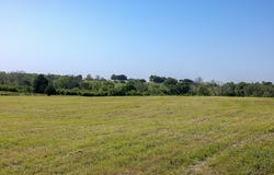 00 Sauney Chapel Road, Chappell Hill, TX 77426