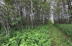 3938 E 5th St, Superior, WI 54880