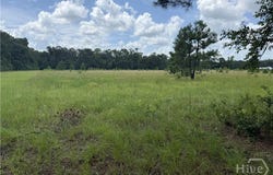 Toni Branch Road, Ellabell, GA 31308