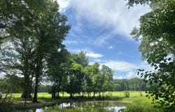 Lexington Road, Pickens, MS 39146