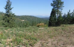 Lot 5 Moose Ridge Way, Loon Lake, WA 99148