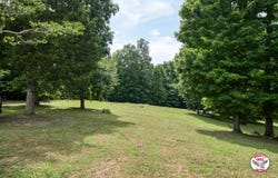 2158 Bolestown Loop, Alpine, TN 38543