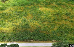 TBD Cove Road, New Hope, NC 27944