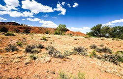 Torrey, UT 84775