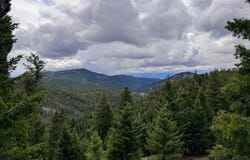653 Canyon Hollow Lane, Helmville, MT 59843