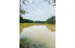 Devane Road, Quitman, GA 31643
