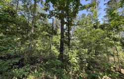 000 Sammie Smith Road, Searcy, AR 72143