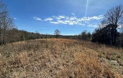 00 Idlewild Hollyleaf Road, Milan, TN 38358