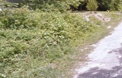 Oak Street N, Pageland, SC 29728
