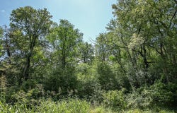 TBD Farm To Market 594, Burton, TX 77835