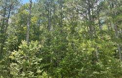 New Kent Highway, New Kent, VA 23089