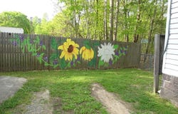 134 Ingram Rd, Henrico, NC 27842