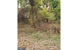 E D Street, BRUNSWICK, MD 21716