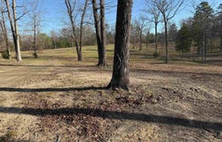 TBD Hwy 71 LOT #1, Mena, AR 71945