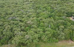 Lot 92 County Road 2255, Valley View, TX 76272