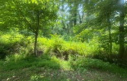 9049 & 9055 Easy St Loop, Robards, KY 42452