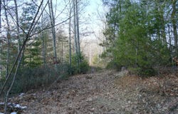 0 Upper Back Creek Road, Monterey, VA 24465
