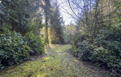 PENINSULA Rd, Florence, OR 97439